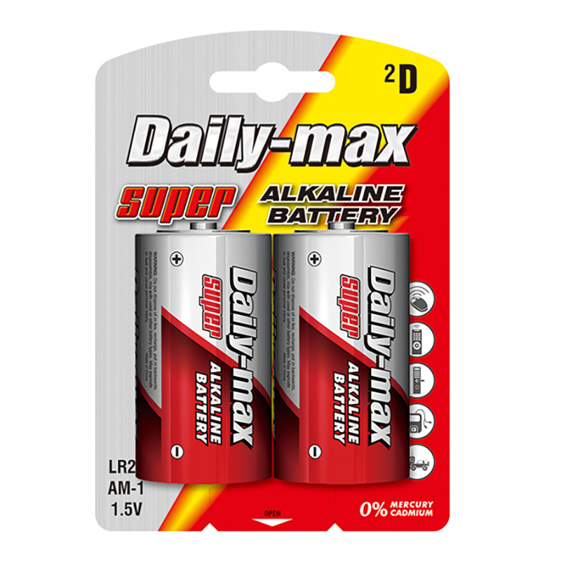 D LR20-2B Business Alkaline Battery